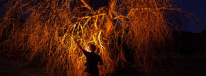 Cristopher Cichocki Root Cycle instalation