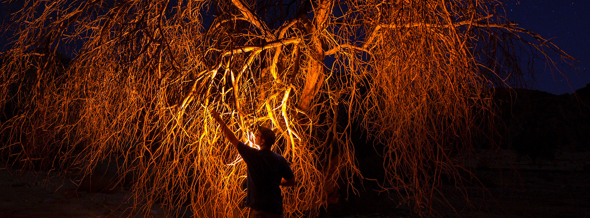 Cristopher Cichocki Root Cycle instalation