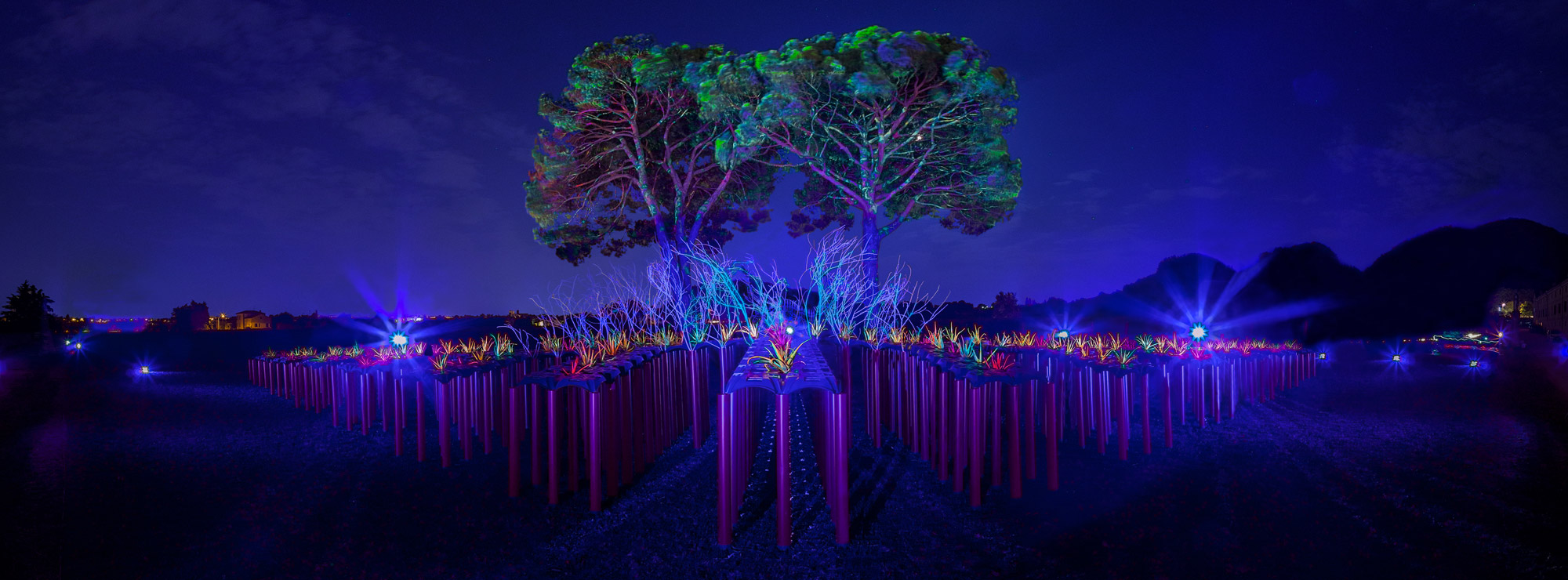 Root Cycle Cristopher Cichocki Building Beyond Together